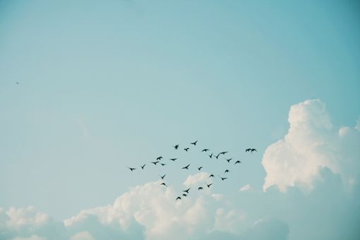 知乎精选:如何在陌生的聚会场合表现得自信自如