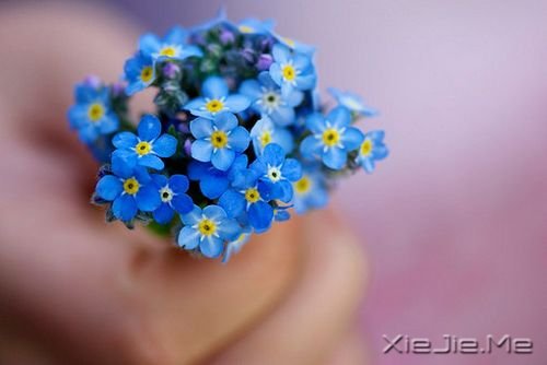 若现在就觉得失望无力,未来那么远你该怎么扛 (8)