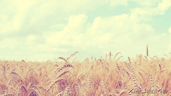 ���������ʧ�ˣ��һ��������ﰮ��