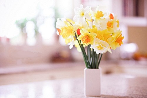 人的上半生,要不犹豫;人的下半生,要不后悔