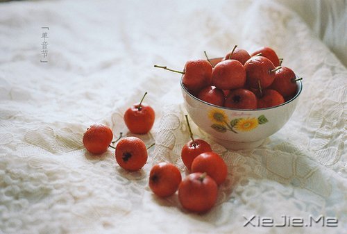 心似莲开,清风自来 (2)