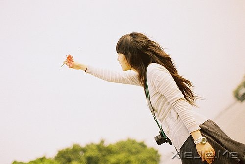 心似莲开,清风自来 (8)