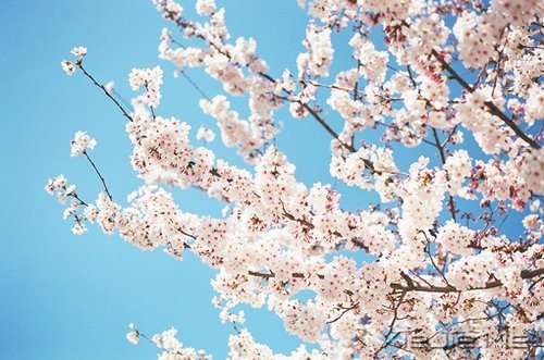 ƽ���밲���������������һ������ (3)