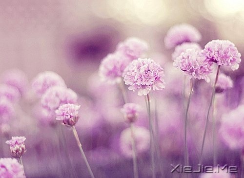 ������;���������� (1)