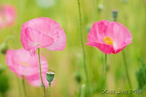 ����������������� (6)