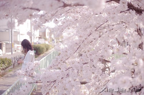 ��Ϊ֪�㣬���Ը��ӽ��Ҹ� (2)