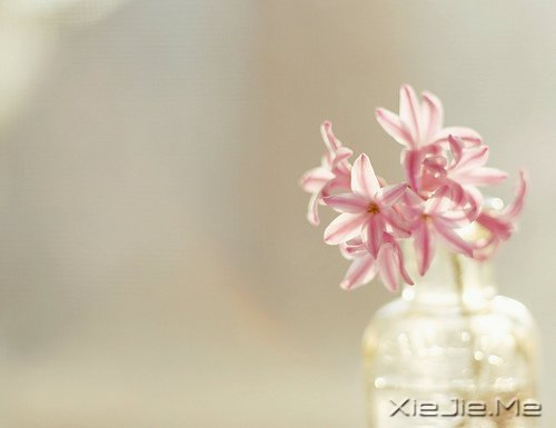 ������;���߹���֪��ǳ (5)