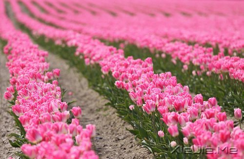 �ڴ�һ������ľ��룬�����������õļ��� (3)