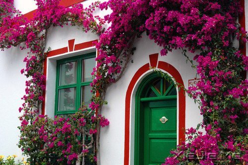 谁捧起花的脸庞,让岁月美的黯然神伤 (7)