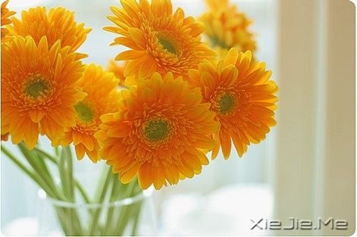 һ·�ж�����������ϧ (1)