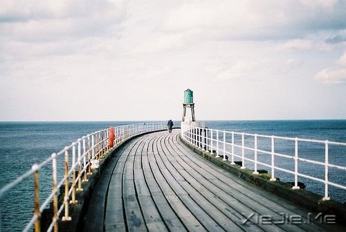 早安心语:走自己的路,做最好的自己 (10)