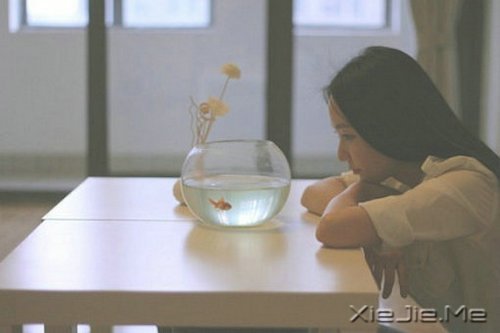 晚安心语:放下无谓的负担,人生才能一路自在 (3)