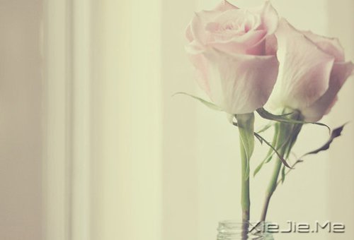 晚安心语:找到完美的路 (8)