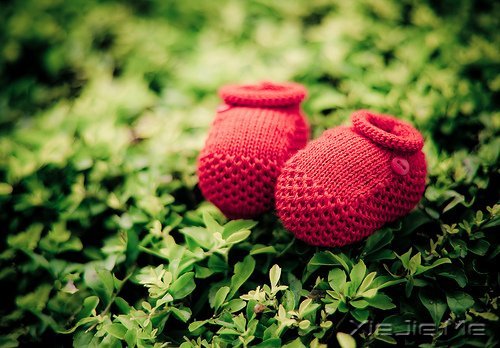 ���������΢Ц�����һ��С�� (12)