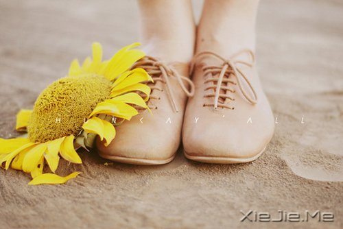 �簲������ƺ����飬����Żᴦ����� (7)