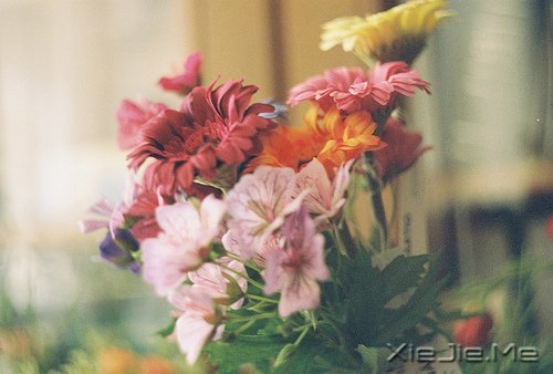 �簲�������ǰ�ߣ��㽫��Զͣ�� (12)