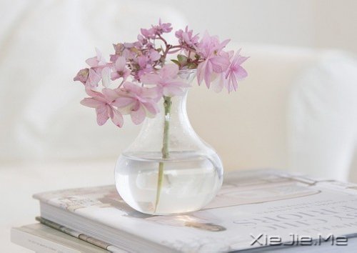 �簲�������ʱҪ������ʧ��ʱҪ���� (9)