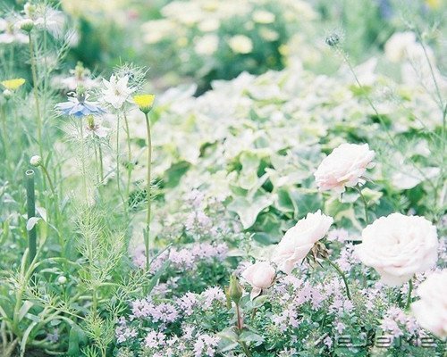 �������ѡ��������£�ڹ�Ϳ��������� (6)