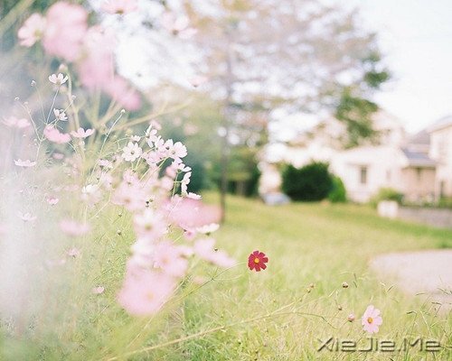 �������ѡ��������£�ڹ�Ϳ��������� (10)