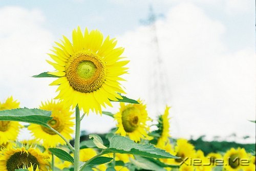 �簲�����ʰ���飬������· (3)