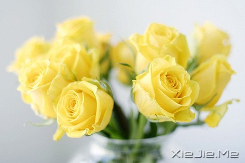 �������������ת���������¿�ʼ (1)