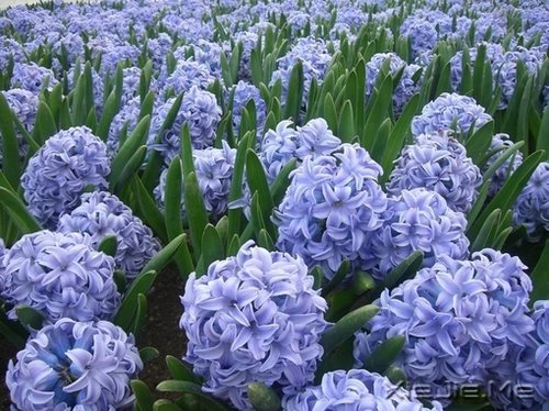 梦想很轻,却因此拥有飞向蓝天的力量 (10)