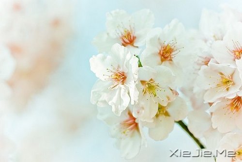 �������յ㣬��΢Цһֱ��ǰ (2)