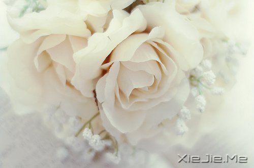 ���������ʰ���飬������· (6)