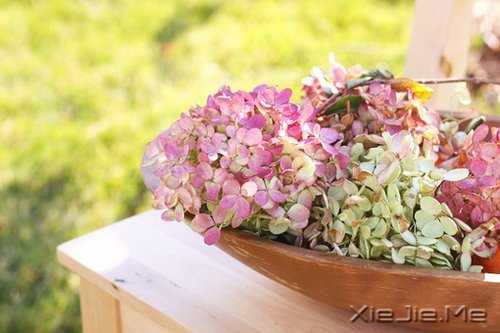 晚安心语:别让人生,输给了心情 (7)