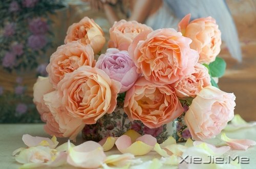 晚安心语:美不过回忆,伤不过别离 (6)