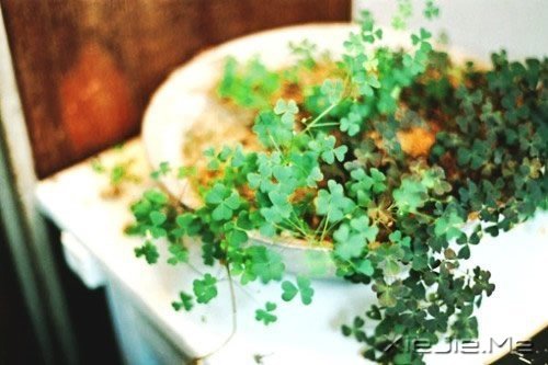 走得最急的都是最美的时光 (4)