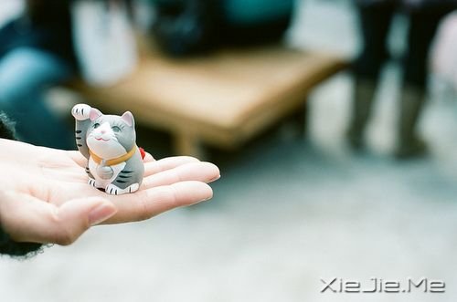 早安心语:再不疯狂,我们就老了 (9)