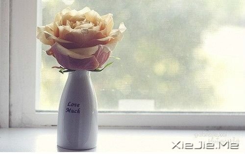 晚安心语:我的执着,是因为你值得 (5)