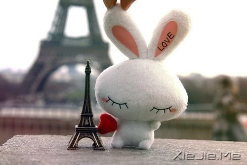 晚安心语:人不怕走在黑夜里,就怕心中没有阳光 (5)