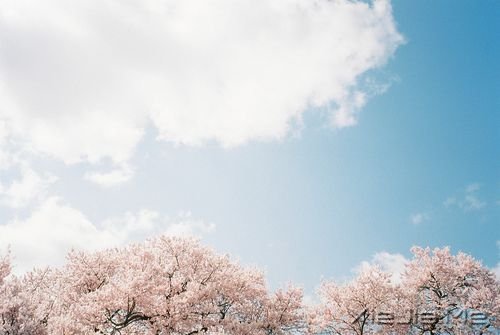 �簲������һ���ǻ��䣬һ���Ǽ��� (3)