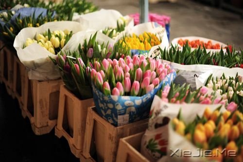 晚安心语:生活就是生下来,活下去 (9)