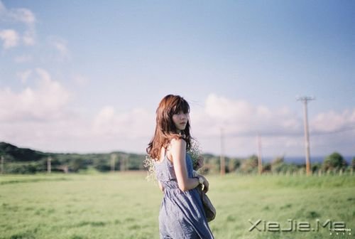 早安心语:只有全力以赴,梦想才能起飞 (4)