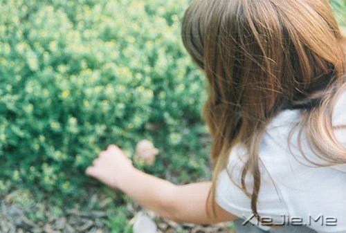 晚安心语:人生,就是一种简单的轨迹 (2)