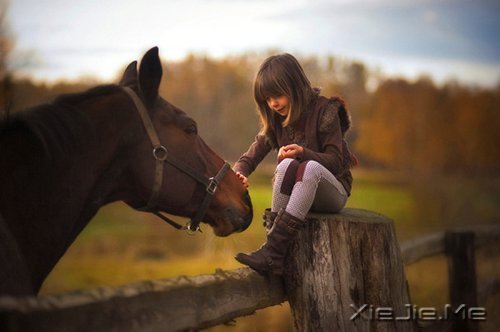 早安心语:如果我不这么在乎,生活会简单得多 (5)