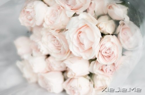 晚安心语:勇敢生活,微笑面对 (6)