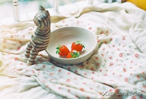 早安心语:人必须拥有梦想,才会有起床的动力 (7)