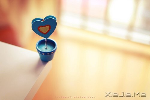 晚安心语:只怕心老,不怕路长 (10)