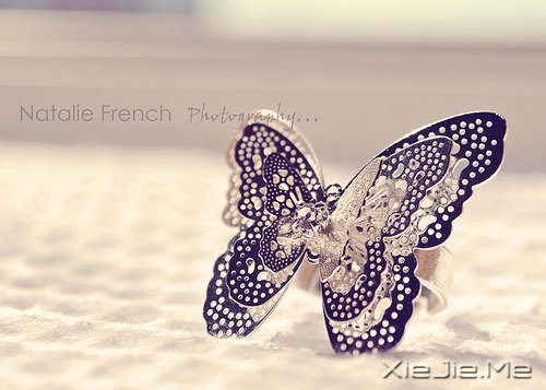 早安心语:不要让所有人都看到你的脆弱 (1)