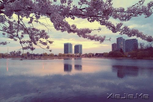 晚安心语:一个人时,善待自己;两个人时,善待对方 (8)