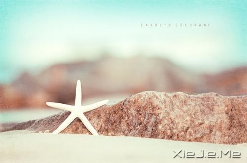 晚安心语:把手放开,你得到的是一切 (9)