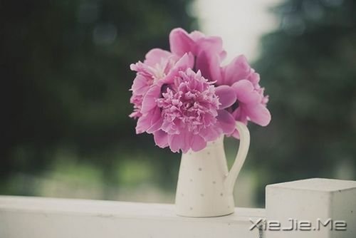 ��������㲻�¸ң�û�������ǿ (3)