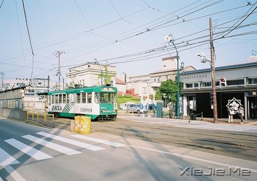 早安心语:昨天的太阳,晒不干今天的衣裳 (5)