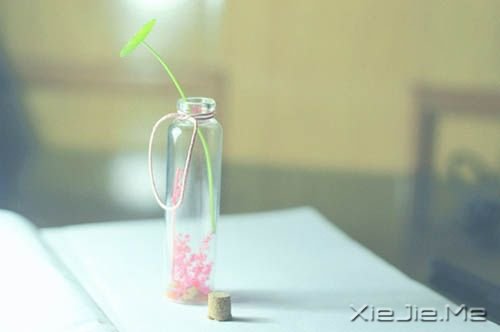 �簲�������ô�������죬���ܹ��ý��� (3)