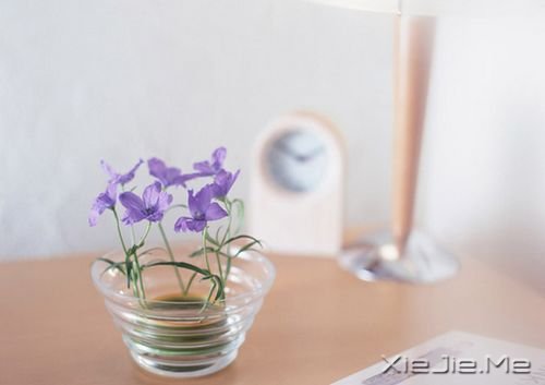 �簲�����Щ���������ң���Щ�����Կ��� (9)