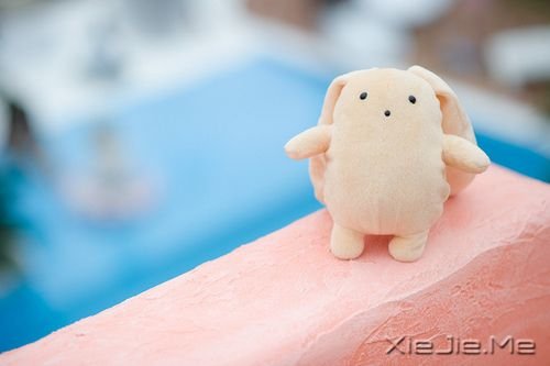 �簲��������Լ��ȶ������˸���Ҫ (9)